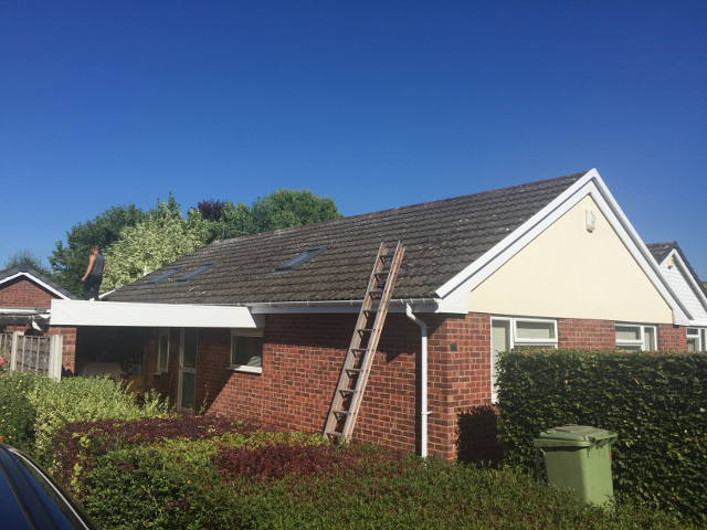 Roof Cleaning.